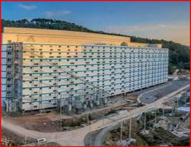 El exceso de oferta de carne de cerdo en China se agudiza ya que la expansión industrial supera a la demanda